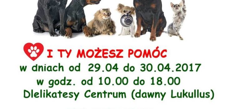 Zbiórka w karmy w Lukullusie